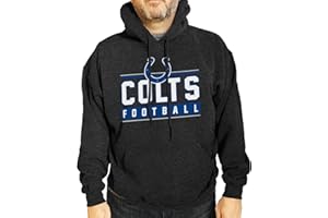 Team Fan Apparel NFL Adult True Fan Hooded Charcoal Sweatshirt - Cotton Poly Fleece - Show your team spirit & be comfortable
