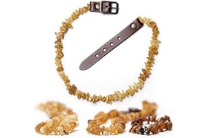 ChronoBalance® Collier d'ambre pour Chien avec Fermoir en Cuir véritable pour empêcher Les tiques et Les puces, Collier pour Chien en Ambre véritable avec Fermoir en Cuir réglable