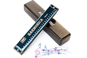 YOYIAG Harmonica diatonique 24 Trous C Bouton Boutique 24 Titane Harmonica avec étui et chiffon d'entretien pour joueurs professionnels, débutants, étudiants, adultes comme cadeau (bleu)