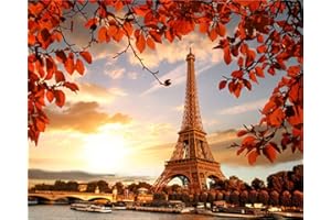 YEESAM ART DIY Ölgemälde Malen nach Zahlen Erwachsene Kinder, Sonnenuntergang Paris Eiffelturm Landschaft Zahlenmalerei ab 5 Öl Wandkunst (Eiffelturm, mit Rahmen)