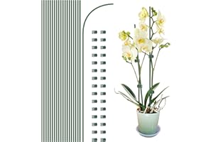 CANDDY 20Pcs Plant Support Stakes with 30 Pcs Plant Clips, Plant Sticks for Indoor and Outdoor Plants, Orchid Clips and Stakes,16inch Tall Bendable Single Stem Flower Stakes Bendable (Green, 40cm)