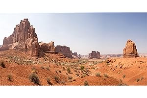 MIRRORANG 120x50cm Sol y Desierto Terrario Fondo Oasis rocoso Gobi Reptil Fondo de hábitat Fondo de Vinilo