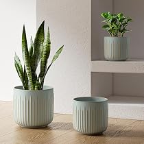 Omysa Fioriera In Ceramica Bianca Con Supporto In Legno Di Noce - Vaso Da Interno 25,4 Cm Con Foro Drenaggio, Stile Mid-century
