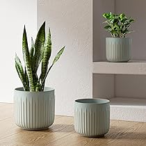 Omysa Fioriera In Ceramica Bianca Con Supporto In Legno Di Noce - Vaso Da Interno 25,4 Cm Con Foro Drenaggio, Stile Mid-century