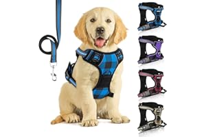 SIBOTER Pettorina Cane, Pettorina Regolabile per Cane di Taglia Media e Piccola con Guinzaglio, Traspirante, Antifuga, per la Corsa, Passeggiate, Jogging (M, Plaid Blu)