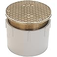 Floor Cleanout, Adjustable, Pipe Dia 3 In : Amazon.in: Home Improvement