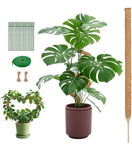 Mcbazel 160CM Monstera Rankhilfe Kokosfaser Rankhilfe mit Zubehr, Monstera  Pflanzensttze fr Kletterpflanzen im Innenbereich : Amazon.de: Garten