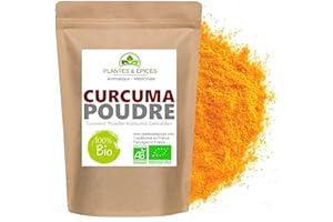 GÉNÉRIQUE Poudre de Curcuma 100% naturel - Racines Séchées de Curcuma en Poudre - Sachet Fraîcheur Biodégradable Refermable (100g)