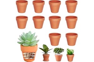 Cerkkapo 10 Stück 10 X 8 cm Terrakotta Topf,Tontöpfe Klein mit Abflussloch,Kleine Tontöpfe zum Basteln,Mini Terrakotta Tontöpfe,Wiederverwendbar Tontopf,Terracotta Blumentopf Pflanzen für Zimmer Büro