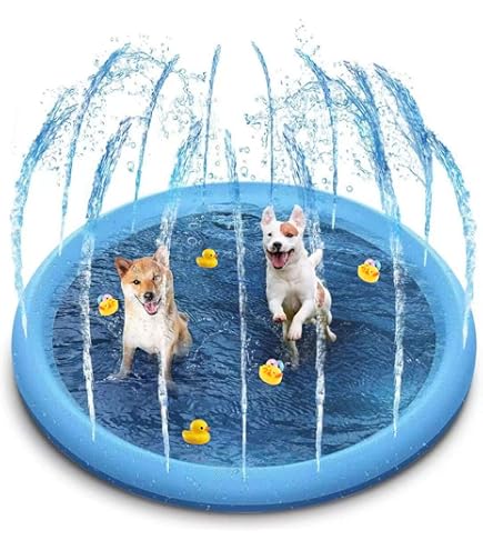 Flying Paws Splash Sprinkler Pad voor Honden - 170 cm, Blauw, Huisdieren, Zwembad, Badkuip, 2022, Nieuwe Huisdieren, Zomer, Achtertuin, Speelset en Water Speelgoed, Cadeau voor Honden (170 cm