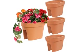 ‎BOTLE botle Zestaw 3 doniczek balkonowych, skrzynka na kwiaty, skrzynka na balustradę, 39,5 cm, terakota, balkonowa, skrzynka na kwiaty, owalna