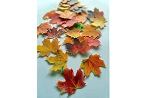 Anglesit MAPLE LEAVES AUTUMN FALL EDIBLE RICE/WAFER PAPER CUP CAKE TOPPERS WEDDING PARTY BIRTHDAY DECORATION