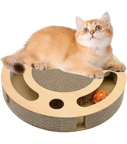 Kratzbrett Katze mit Klingelballs, 2 in 1 Wellpappe Kratzpappe für Katzen, Interaktives Katzenspielzeug Stabilem Katzenkratzbretter Kratzmatte Zubehör für Katzen (Rund) Haustier