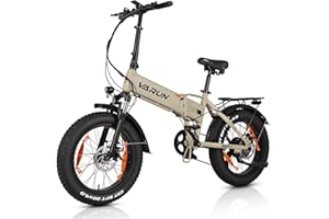 VARUN Bicicleta Eléctrica Plegable, 20"*4.0" Fat Tire Bicicleta Eléctrica Montaña con Batería 48V 13Ah, Autonomía 𝟏𝟎𝟎𝐊𝐌, Bici Electrica con Motor 250W, E Bike con 7 Velocidades, Pantalla LCD