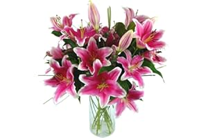Clare Florist Sensation Lilies Fresh Flower Bouquet - Wonderful Lilies Arranged into a Stunning Bouquet