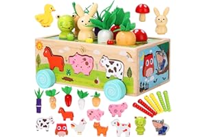 Birshe Jouet Montessori 2 3 4 Ans, Jouet de Motricité en Bois, Paques Cadeau de Jouets Apprentissage, Jouet éducatif Récolte de Carottes Jeu de Tri pour Garçons Filles Cadeau Noël Anniversaire