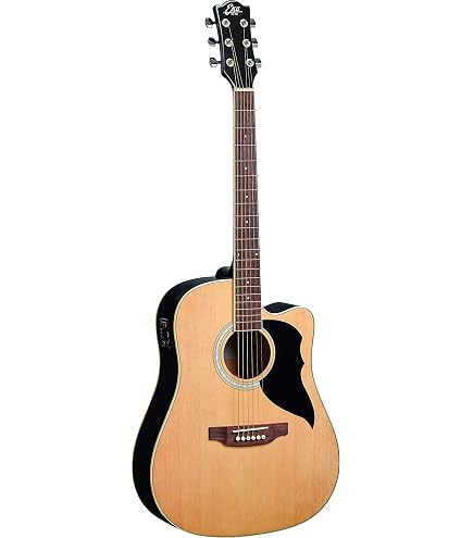 EKO Ranger VI VR Nat Top Stained EQ 未使用 EKO Ranger VI VR EQ