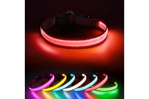 Jewyow Collier Lumineux, 7 in 1 Collier LED Rechargeable USB-C étanche pour Chiens de Petite, Moyenne et Grande Taille-Rouge - M