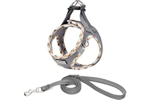 DORAMIO Hundegeschirr Kleine Hunde mit Leine, Step-in Geschirr Reflektierend Atmungsaktiv Brustgeschirr Anti Zug Sicherheitsgeschirr Katzengeschirr für Kleine Hunde, Katzen (Grau, S)