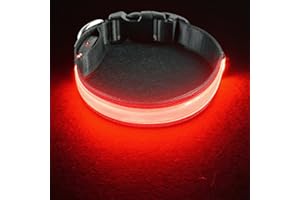 PetIsay Ultimate LED Dog Collar - USB Rechargeable with Water Resistant - Reflective Light up Dog Collar Flashing Light - Adding Safety to Night-time Walks - 5 Colours, 4 Sizes(Red, Medium)