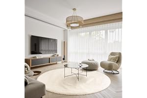 Sour Lemon Wohnzimmerteppiche, 120 x 120 cm runder Teppich für Schlafzimmer, waschbarer Rutschfester, Flauschiger Teppich, zottelige weiche Teppiche Matte für Kinder Flur Wohnzimmer