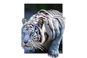 Taasmoog Diamant Malere Kits Malen nach Zahlen Diamant Diamant DIY 5D Diamond Painting Set Painting Bilder Arts Craft für Home Wand Decor 30 x 40 cm (Tiger)