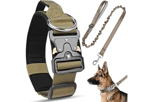 Viugex Juego de Collar y Correa para Perro, Ajustable y Resistente Collares Perro con Hebilla de Metal, Collar Nylon Cómodos para Perros Pequeños, Medianos, Grandes (Caqui, M)