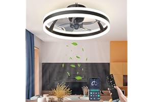 ‎YOCOMO YOCOMO Deckenventilator mit Beleuchtung LED Dimmbar ventilator lampe ventilatorlampen mit fernbedienung Timer Leise Moderne Deckenventilator Licht Für Wohnzimmer Schlafzimmer Esszimmer
