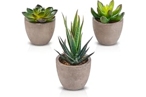 ‎ZALAVA Zalava 3 Stück Künstliche Pflanzen, Künstliche Pflanzen mit Topf Kunstpflanze klein für Tisch Haus Balkon Büro Deko