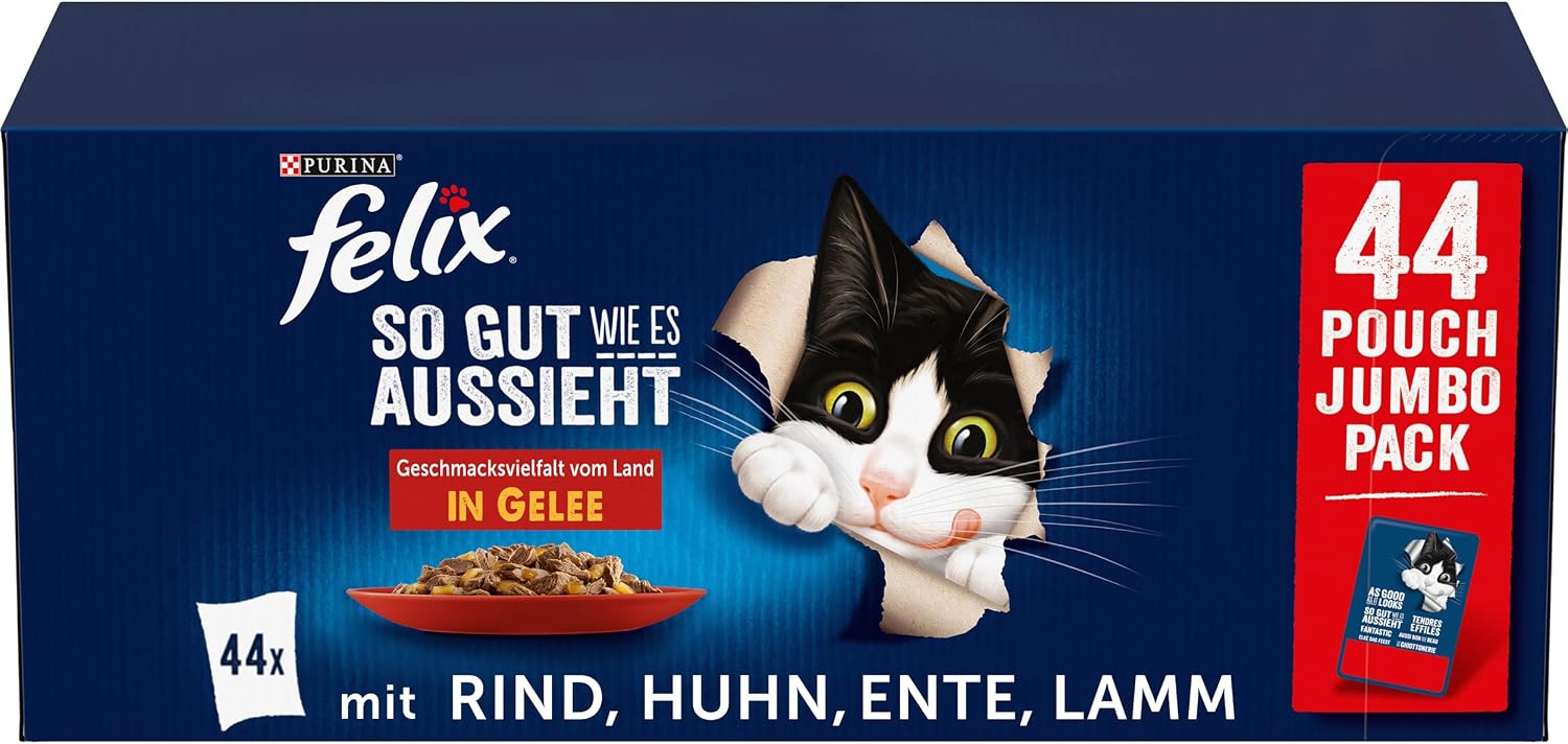 Vue 9