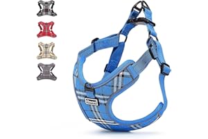 Elevant Pettorina Cane Regolabile Riflettente, Step-in Traspirante, Gilet Morbido Imbottito Petto Imbracatura per Cani Taglia Piccola Media (XS, Blu)