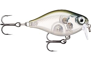 Rapala X-Light Crank Shallow Runner - Señuelo de Pesca para Pesca (plástico y Pesca de Agua Dulce Flotante)