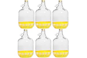 lilawelt24 6 STÜCK 5L GLASBALLON mit Kunststoffkorb Weinballon GÄRBALLON GLASFLASCHE