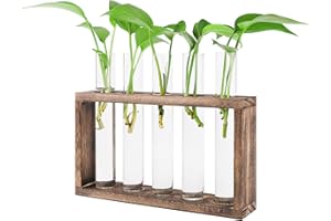 GLAITC - Jarrón de tubo de ensayo de cristal, soporte para plantas hidropónicas, para plantar, tubos de ensayo, pared, jarrón de plantación de agua, de cristal, con soporte de madera, 5 tubos (marrón)