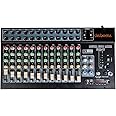 DaBeatz 12 Channel Stereo Echo DJ Mixer with USB & Bluetooth - Ideal for DJ, Parties, Stage Effects, Weddings, Karaoke & Studio Recording - Digital Audio Mixer Professional Sound Channel with Effects (Black)
