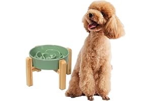 PTOBER Elevated Slow Feeder Dog Bowl - Raised Ceramic Dog Bowl with Anti-Slip Stand - Fun Maze Dog Feeding Bowl for Fast Eater - Heavy Dog Food Dish - Designed for Small and Medium Dogs - Green - 6.7 inch