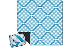 ONCCI Picknickdecke wasserdichte XXL Strandmatte Sandfrei Outdoor Picknickdecke Campingdecke Faltbare Waschbar für Picknick, Strand, Camping 200 * 200cm (Gitter-Blau)