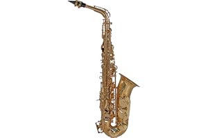 Roy Benson Eb-Alt Saxophone AS-202 (corpo in ottone, chiave F# alta, accessori completi inclusi, con cinghia di trasporto, sassofono di qualità superiore, per i musicisti più esigenti)