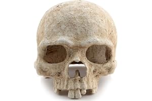 MerryNine Reptile Vivarium décoration crâne humain cacher cave nid Aquarium sous-marin ornement