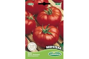 Germisem graines Tomate BEEFSTEAK