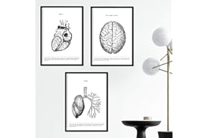 Nacnic Set 3 poster anatomia in bianco e nero con immagini del corpo umano. Confezione di fogli sulla biologia con cuore, cervello e polmoni. Dimensione A3. Frameless.