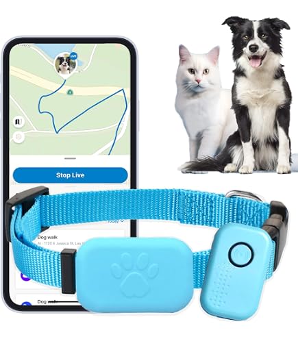Collare GPS Per Cani TK909 - Localizzatore In Tempo Reale, Senza Abbonamento, Geofencing