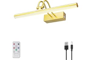 RAIFOOLLY Picture Light, 13in Battery Operated Picture Lights for Paintings,Metal Remote Display Art Light with Timer and Dimmable for Wall Painting,Frame, Portrait, Dartboard(Gold), RF00290