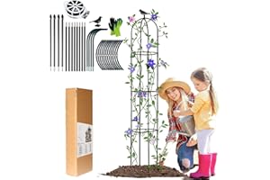 LIBRNTY Obélisque de jardin pour roses,2022 Birdhead Obélisque de Jardin Amélioré,Support pour Plantes grimpantes,GHrimpantes en acier,support de fleurs en métal noir pour plantes grimpantes(146CM)