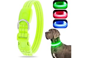 CHALKLIT LED Leuchtend Hundehalsband, USB wiederaufladbar, wasserdicht, blinkendes Halsband, leuchtet im Dunkeln, für kleine, mittelgroße und große Hunde, verstellbar, Sicherheit für die Nacht