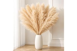 DATEFUN 10 St Stort Pampasgräs XXL Dekoration Boho 100 cm - Torkade Blommor Naturlig och Fluffig - För Golvvaser, Bord, Bröllop, Vardagsrum, Sovrum