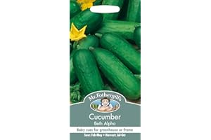 MR FOTHERGILLS Mr Fothergill's 22124 Vegetable Seeds, Cucumber Beth Alpha, Green