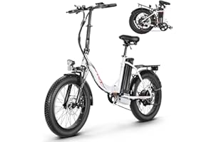 ‎ANCHEER ANCHEER Klapprad E-Bike, 20"*3.0 Elektrofahrrad mit 36V 10.2Ah Lithium-Akku für Lange Reichweite bis 100KM, 250W Motor, 7 Gang für Herren Damen