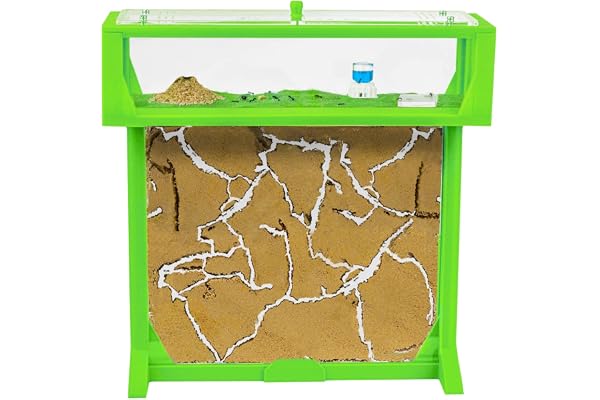 AntHouse - Fourmiliére de Sable | Kit T Big 3D 25x20x1,5 cm | Ferme de Fourmis Vert | Colonie de Fourmis Incluse