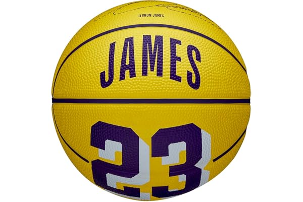 Wilson basket, NBA-spelare ikon mini